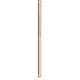Смартфон Bravis A552 Joy Max gold