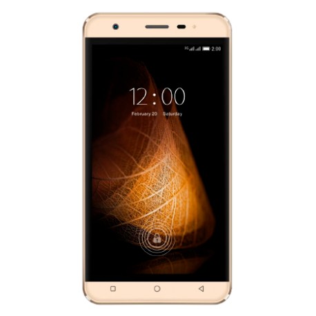 Смартфон Viaan V501 Gold
